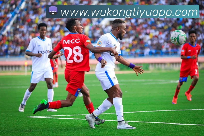 悟空体育发展历程